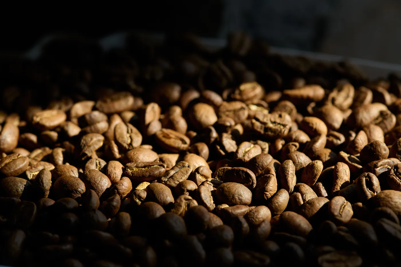 Freshly roasted whole coffee beans lit by a low shaft of light